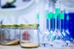 Kimya